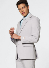 Load image into Gallery viewer, Opposuits Men's Suit - Groovy Grey