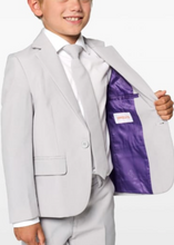Load image into Gallery viewer, Opposuits Boys Suit - Groovy Grey