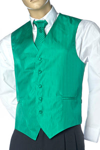 Mens Best Dressed Vest- Vertical Stripe