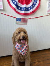 Load image into Gallery viewer, PRE-ORDER Pet Scarf - Duel Flag