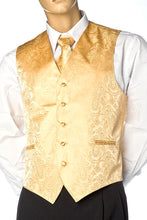 Load image into Gallery viewer, Mens Best Dressed Vest- Paisely