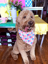 Load image into Gallery viewer, PRE-ORDER Pet Scarf - Duel Flag