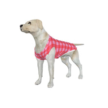 Load image into Gallery viewer, Big Dog Pink Gingham Pajama