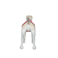Load image into Gallery viewer, PRE-ORDER Dog Americana Shirt