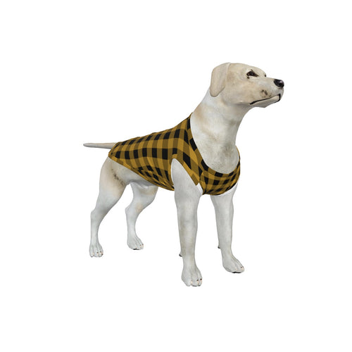 Big Dog Black and Gold Gingham Pajama