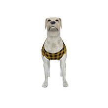 Load image into Gallery viewer, Big Dog Black and Gold Gingham Pajama