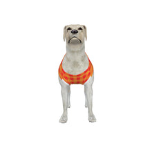 Load image into Gallery viewer, Big Dog Red and Yellow Gingham Pajama