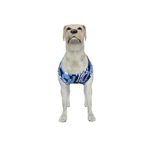 Load image into Gallery viewer, ADS-3APCBX04-MS3LR-FFFFFF