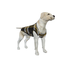 Load image into Gallery viewer, Big Dog Black and Gold Plaid Pajama