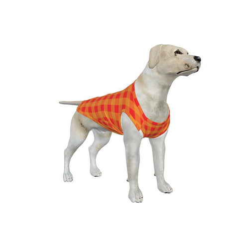 Big Dog Red and Yellow Gingham Pajama