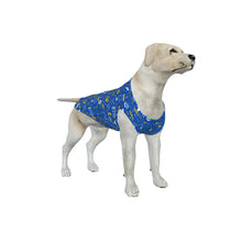 Load image into Gallery viewer, ADS-3APCBX04-MS3LQ-FFFFFF