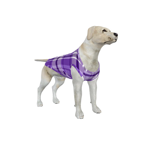 Big Dog Purple Plaid Pajama