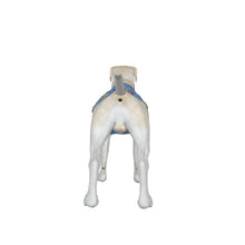 Load image into Gallery viewer, Big Dog Kansas Micro Tank Top