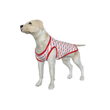 Load image into Gallery viewer, PRE-ORDER Dog Americana Shirt