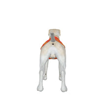 Load image into Gallery viewer, ADS-3APCBX04-MNJTQ-FFFFFF