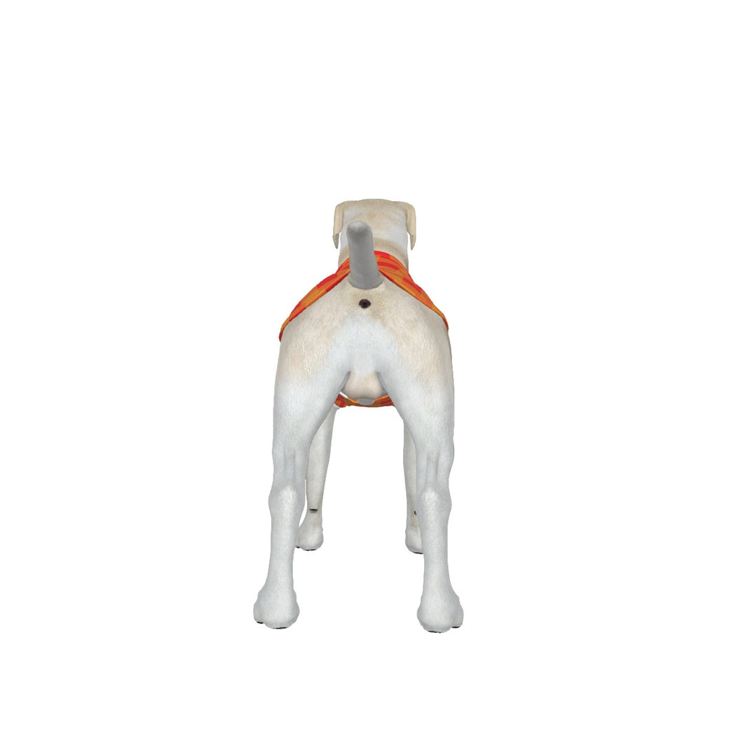 ADS-3APCBX04-MNJTQ-FFFFFF