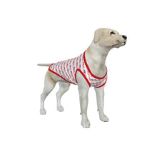 Load image into Gallery viewer, PRE-ORDER Dog Americana Shirt