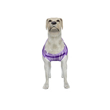 Load image into Gallery viewer, Big Dog Purple Plaid Pajama