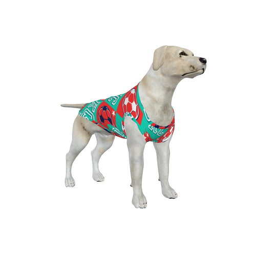 Big Dog Current-lyTank Top