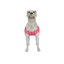 Load image into Gallery viewer, Big Dog Pink Gingham Pajama