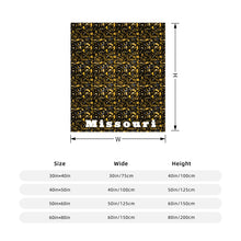 Load image into Gallery viewer, Missouri Micro Blanket