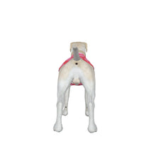 Load image into Gallery viewer, Big Dog Pink Gingham Pajama