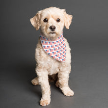 Load image into Gallery viewer, PRE-ORDER Pet Scarf - Duel Flag