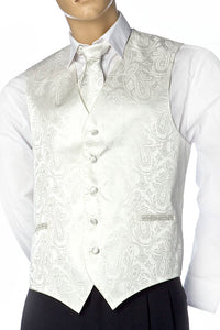 Mens Best Dressed Vest- Paisely