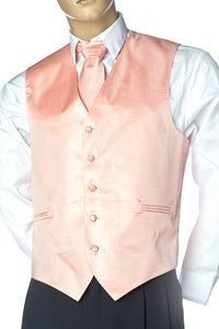 Mens Best Dressed Vest- Horizontal Stripe