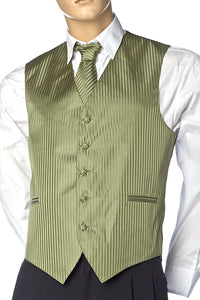 Mens Best Dressed Vest- Vertical Stripe