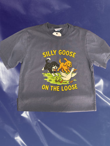 Silly Goose On the Loose Tee