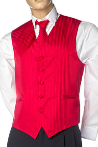 Mens Best Dressed Vest- Vertical Stripe