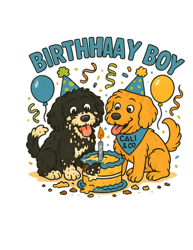 Birthhaay Boy Tee