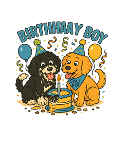 Birthhaay Boy Tee