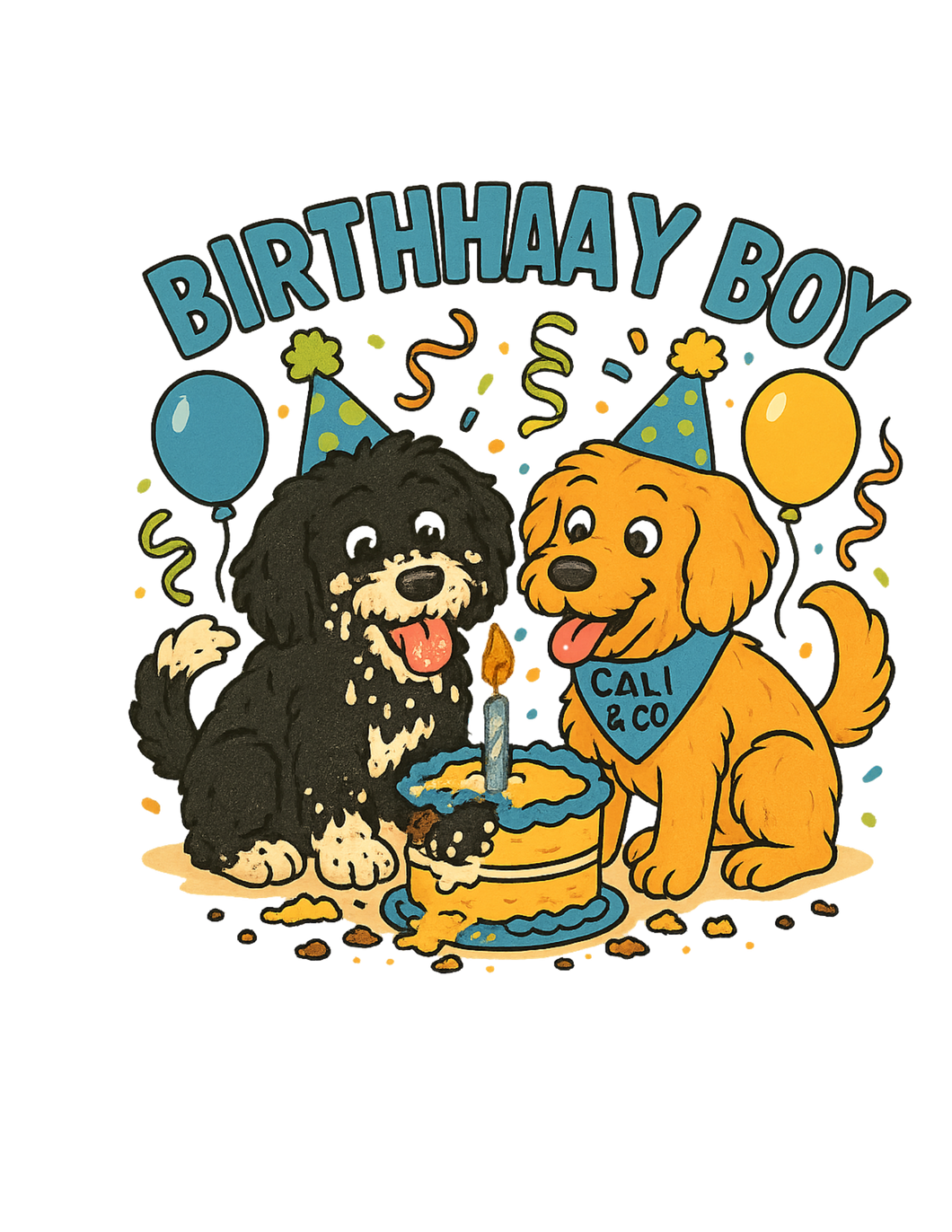 Birthhaay Boy Tee