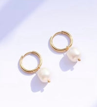Load image into Gallery viewer, Pearl Drop Earring