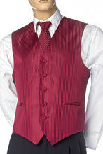 Load image into Gallery viewer, Mens Best Dressed Vest- Vertical Stripe