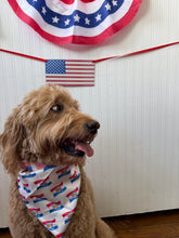 Load image into Gallery viewer, PRE-ORDER Pet Scarf - Duel Flag