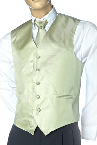 Mens Best Dressed Vest- Horizontal Stripe