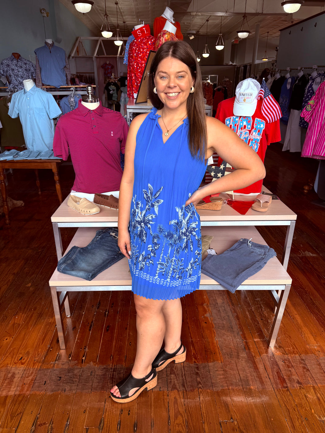 Sleeveless Boarder Chiffon Mini Dress- Blue