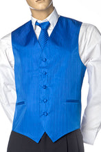 Load image into Gallery viewer, Mens Best Dressed Vest- Vertical Stripe