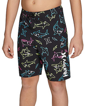 Load image into Gallery viewer, Boys Swim Trunks